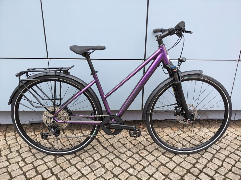 Winora Domingo X12 Pro Lady